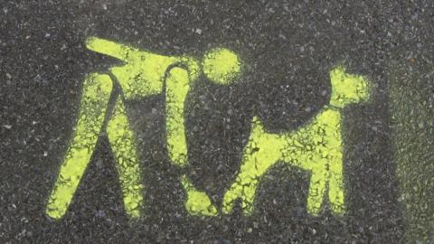 A stencil on the pavement asking you to clean up after your dog