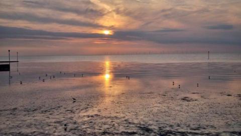 sunset over the sea and birds on the sand 