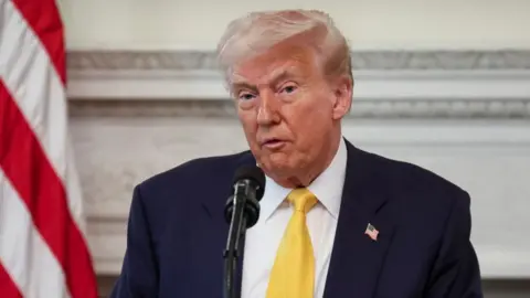 Donald Trump wears a suit and stands behind a microphone with a US flag in the background. 