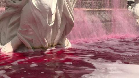 Fountain turns red with fake blood in Nantes, France