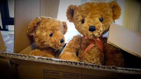 teddy bears in a box