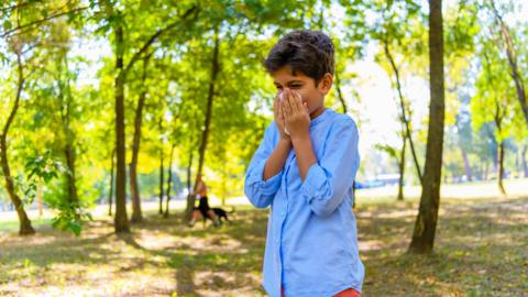 Boy standing in forest blows nose