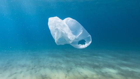 Plastic bag in sea