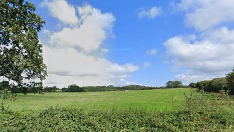 Green fields surrounded by hedges and trees at Lytchett Minster
