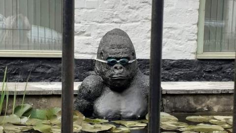 The plastic gorilla