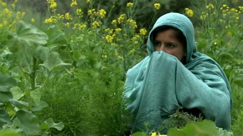 Woman works in a field