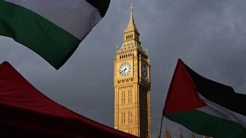 Palestinian flags at a demonstration outside Parliament