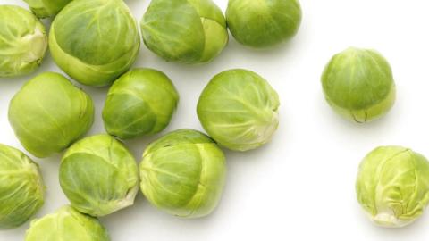 Scattered sprouts (stock photo)