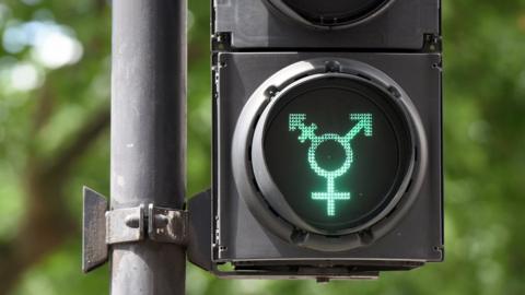 Transgender symbol on a traffic light