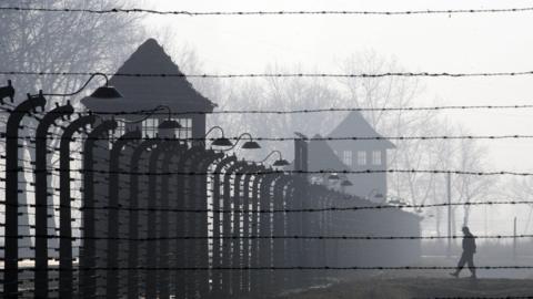 Auschwitz fence, 12 Jan 05