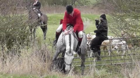 Still from video footage filmed by Hertfordshire Hunt Saboteurs