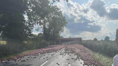 Onions on road