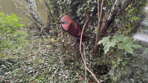 Shotgun in its holster in a tree