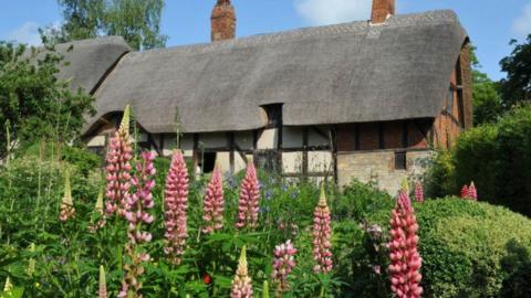 View of Anne Hathaway's Cottage from the garden, with pink flowers shooting up from the ground 