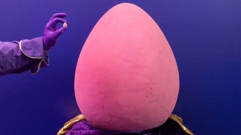 A huge pink chocolate egg sits in front of a purple background. To the left a hand witha purple glove and purple sleeve holds a normal mini egg for comparison