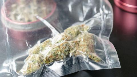 Close up of medical marijuana buds in vacuum seal bags and grinder. Cannabis is a concept of herbal or alternative medicine.
