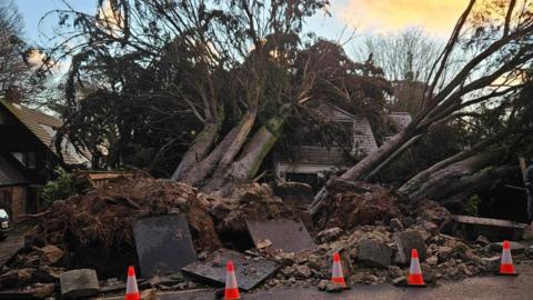 A fallen tree in Falmouth Road, Truro. The tree has fallen on a hour. There are orange cones in front of it. The sky is blue with clouds.