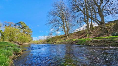 A river running through the countryside with trees on one bank and bushes on the other