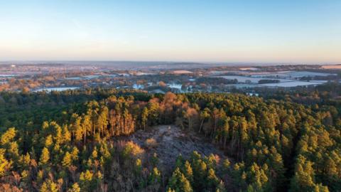 Aerial view of woodland with lakes in the background