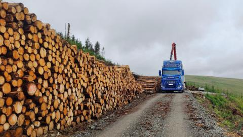 A lorry next to huge pile of wood logs in a green Scottish landscape