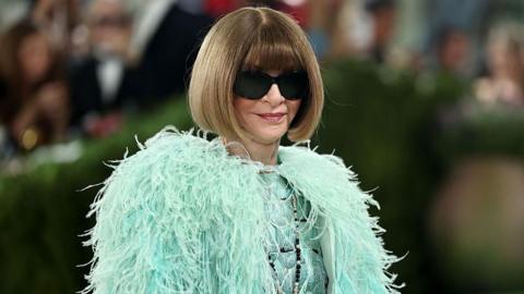 Anna Wintour at the Met Gala, wearing a turquoise feathered cape.