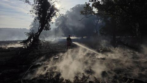 A silhouette of a firefighter hosing an area of gorse with smoke and steam rising, illuminated by the low sun which is shining through the trees.