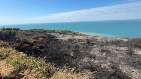 The aftermath of the wildfire at Headon Warren, West Wight - charred heathland alongside cliffs with sea seen to the edge of the land.