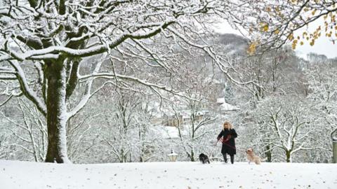 A woman walking two dogs across a snow-covered patch of grass. She wears a black coat and has a medium-sized dog either side of her. 