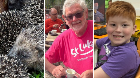 Three images side by side; on the left, an image of baby hedgehogs snuggled in a garden, in the middle, a man with short white hair and a beard wearing a pink t-shirt holds a cup of coffee, on the right, a young boy with ginger hair and freckles wearing a purple top smiles at the camera.