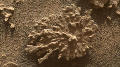 Rock shaped like a piece of coral on Mars. 