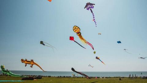 A number of colourful kites fly over a large grassed area on a clifftop. The North Sea is visible in the background and is glistening under sunshine and a blue sky.