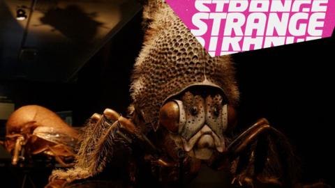 A giant statue of a treehopper and the Strange logo