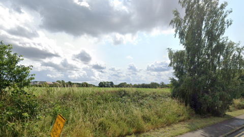 A roadside field