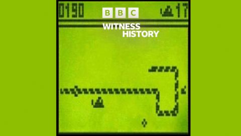 Snake on a mobline phone screen