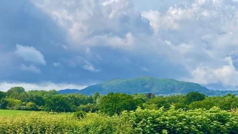 Green hedges and fields with trees, mountains and grey clouds filling the sky