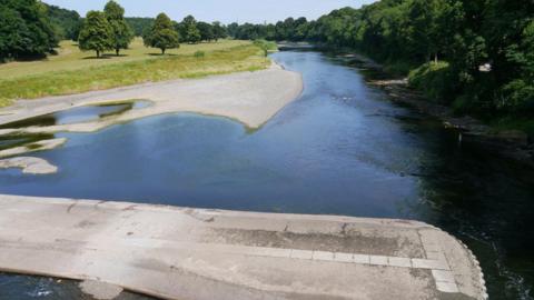 A low flowing River Tweed with a weir and sandbanks visible with trees along the river banks