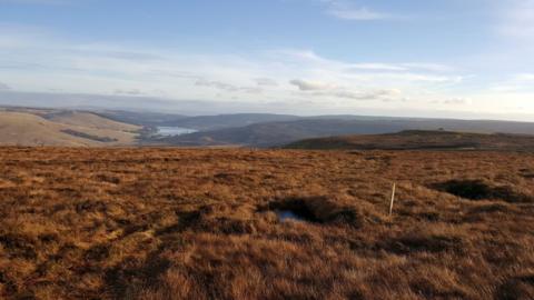 Northumberland upland scenery with peat bog in the foreground and a reservoir in the background 