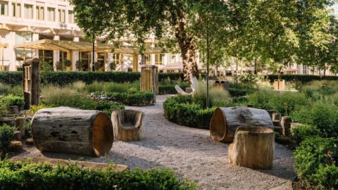 A gravel pathway in a garden setting. Several hollowed-out log sections are placed along the path, with some positioned horizontally and others carved into upright chairs. The area is bordered by green shrubs, ornamental grasses, and mature trees, with a stone building visible in the background.