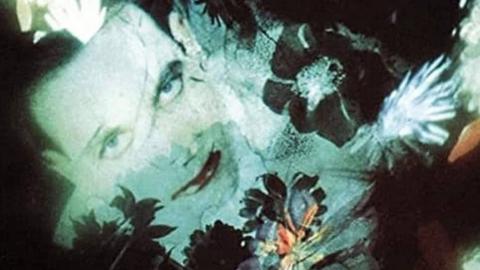 Part of the cover art for The Cure's Disintegration album