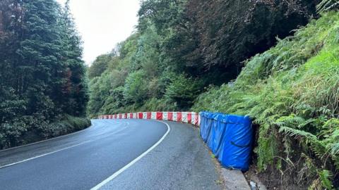 A curved road, there are red and white soft pads on the side of the road, there are high trees on either side.