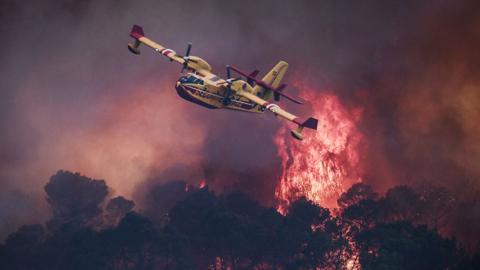 An aircraft flies past flames burning a forest