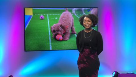 Emma-Louise on the Newsround set