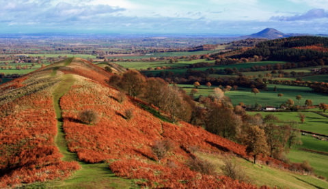 An ariel view of green hills with trees and their leaves turning brown.