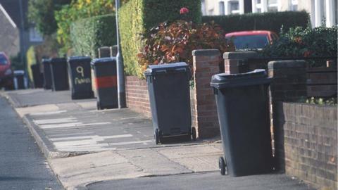 A general view of a residential street which is lined with black wheelie bins. They are sat outside driveways. Trees and bushes line the exterior of some driveways while a car can also be seen in one. 