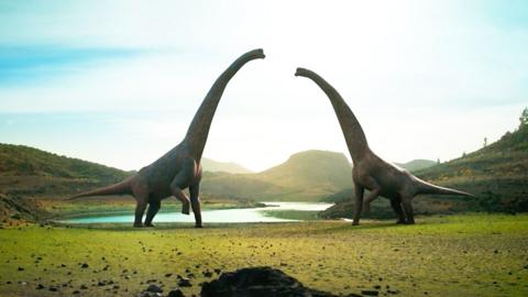 Two dancing dinosaurs with long necks facing each other.