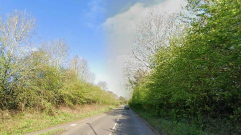 Road with green hedges either side