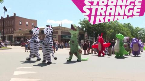People dressed in animal costumes