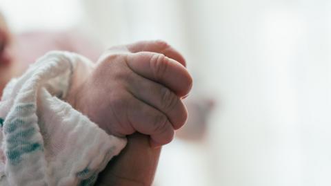 A newborn baby holding an adult's finger.