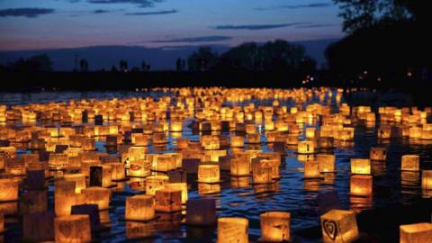 Hundreds of water lanterns float on a lake with trees in the background
