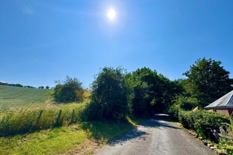 Sunny country lane bordered by green fields and trees beneath a clear blue sky in Jedburgh, the Scottish Borders